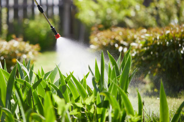 Tamper-Resistant Bait Stations for Rodents in Rogersville