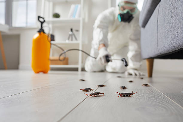 Commercial Rodent Management in Rogersville